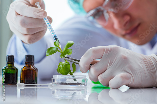 Biotechnology scientist working in the lab