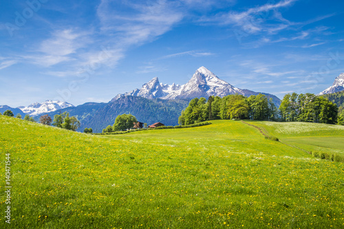 Idyllic landscape in the Alps with blooming meadows in summer