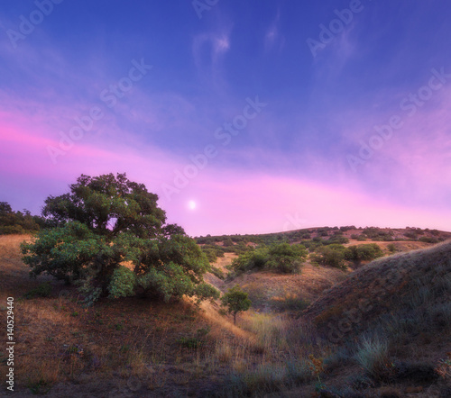 Colorful night landscape with green tree and yellow grass on the hill against amazing blue sky with moon and pink clouds in summer. Mountains in Crimea in twilight. Nature background