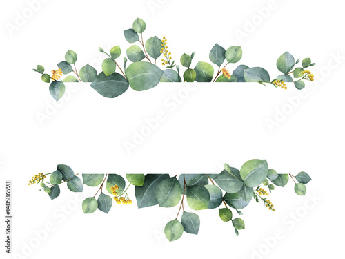 Watercolor green floral banner with silver dollar eucalyptus leaves and branches isolated on white background.