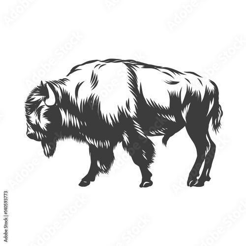 American buffalo inked vector