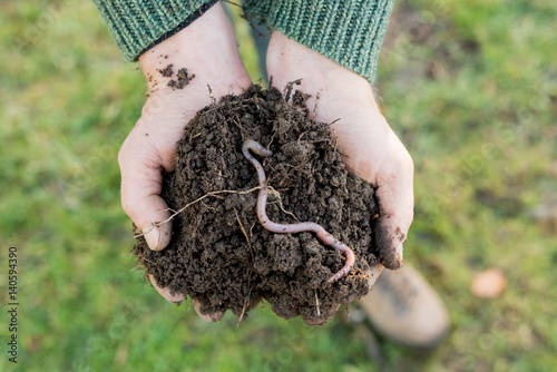 Earthworm on Heap of Soil on Hands