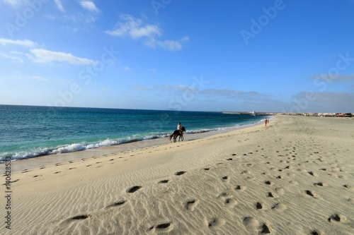 Horses on the beach Santa Maria, Sal Island , CAPE VERDE 