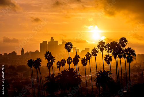 Los Angeles and Palm Trees Sunset