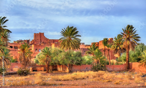 Palm grove at Ouarzazate, Morocco