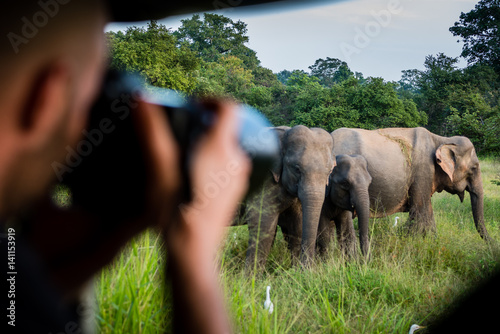 Taking pictures of a herd of elephants at a safari in Yala National Park, Sri Lanka