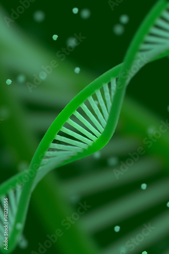 DNA chain macroshot