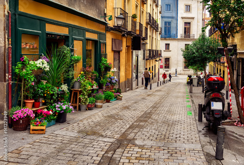 Old street with flowers in Madrid. Spain