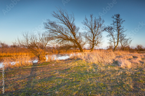 Polish landscape. Spring in Warta Landscape Park, Poland.