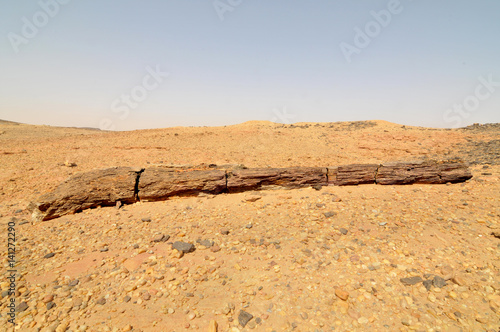 Petrified Forest near El Kurru, Sudan 