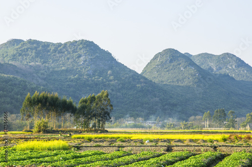 The colorful countryside scenery in spring