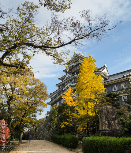 Autumn scenery of Okayama castle in Okayama, Japan