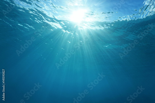 Pacific ocean underwater sunlight through water surface, natural scene, French Polynesia 