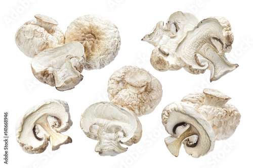 Dried mushrooms isolated on white background