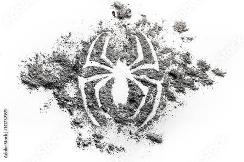 Spider silhouette symbol drawing made in ash, dirt, dust as s superhero, phobia, animal, danger, spooky, horror concept background
