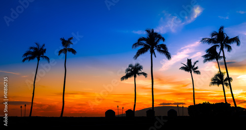 blue orange sunset with palm trees
