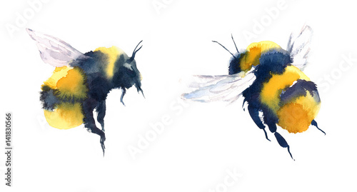 Watercolor Bumblebees In Flight Hand Painted Summer Illustration Set isolated on white background