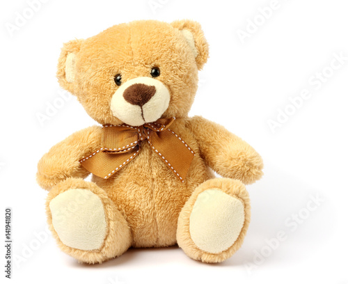 toy teddy isolated on white background