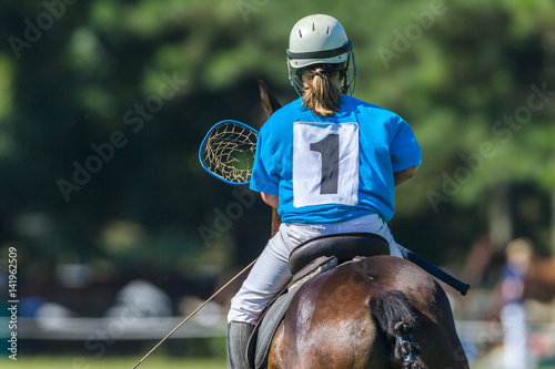 Polocrosse Horse Player