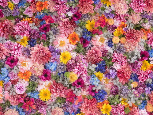 Barwiący kwiat ściany tło