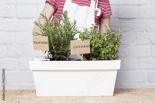 dziewczynka sadząca zioła