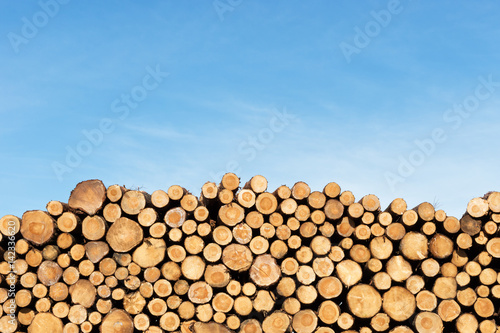 Photo of a pile of natural wooden logs