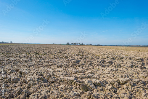Plowed field below a blue sky in spring