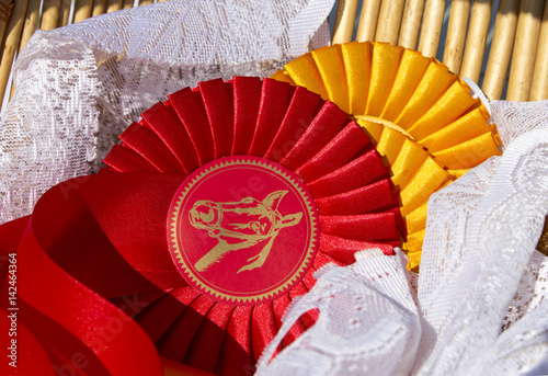 Award rosettes in equestrian sport, red and yellow. Prize ribbons for horse show, champion competition.