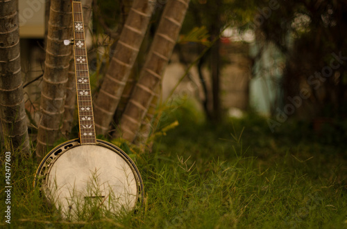 An old banjo rests on a piece of green on a farm lawn. For the leisure of the workers.