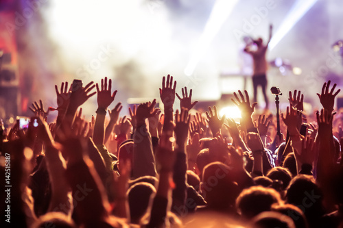 crowd at concert - summer music festival