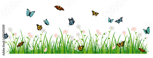Butterfly meadow banner