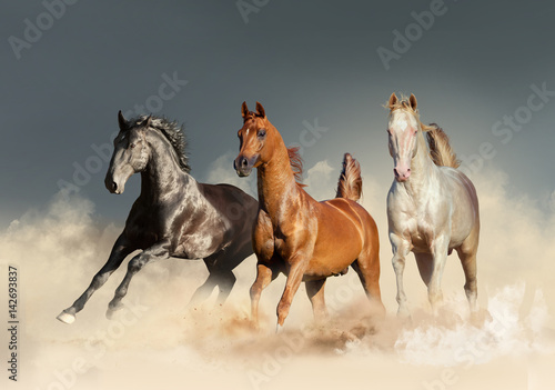 three horses runs free in desert