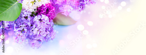 Lilac flowers bunch over blurred background
