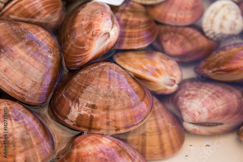 Muscheln auf Fischmarkt in Italien in Wasser