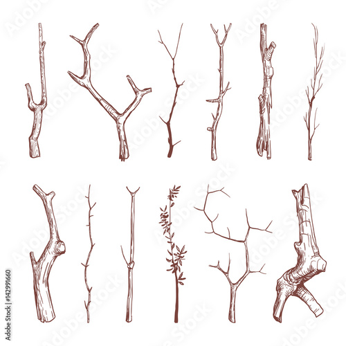 Hand drawn wood twigs, wooden sticks, tree branches vector rustic decoration elements