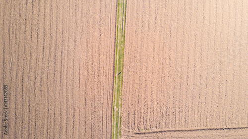 Uomo che corre visto dall’alto, vista aerea, allenamento, sport, maratona. Campi agricoli. Campagna