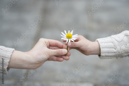 白い花を手渡す親子の手