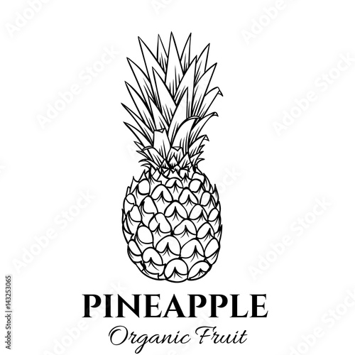 Hand drawn pineapple icon.