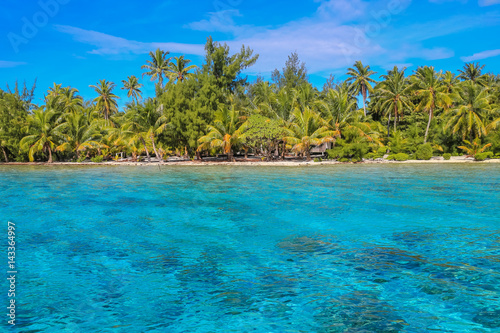 Tropical beach with palm trees and blue lagoon on sunny day. Bora Bora, French Polynesia.