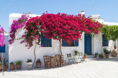 Greek Terrace