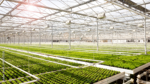 Greenhouse with cultivation