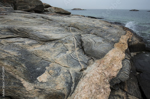 Pink granite intrusion in gray gneiss at Harkness Park, Connecticut.