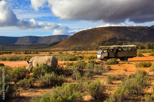 Safari truck and wildlife rhino in Western Cape South Africa
