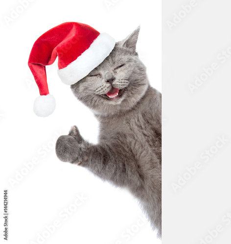 Happy cat in red christmas hat peeking from behind empty board and showing thumbs up. isolated on white background