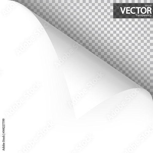 Paper corner with vector transparency