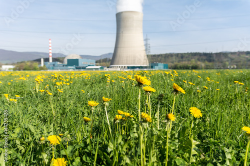 Blumen im Vordergrund von Kraftwerk für Energie 