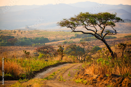 Landscape in Nyika National Park - Malawi