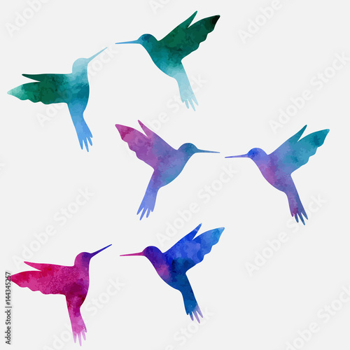 Hummingbird watercolor