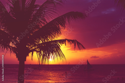Silhouette palm tree sailboats sunset faded filter