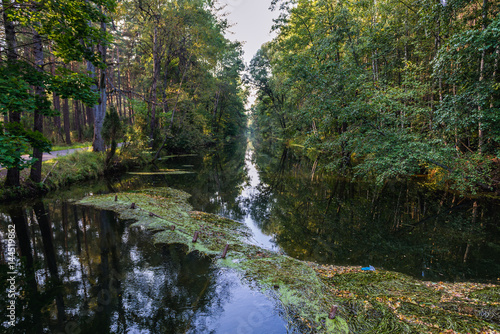 Great Canal of Brda River in Pomorskie Region, Poland